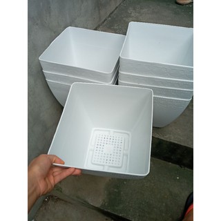 10 chậu v25cm để trồng các loại cây