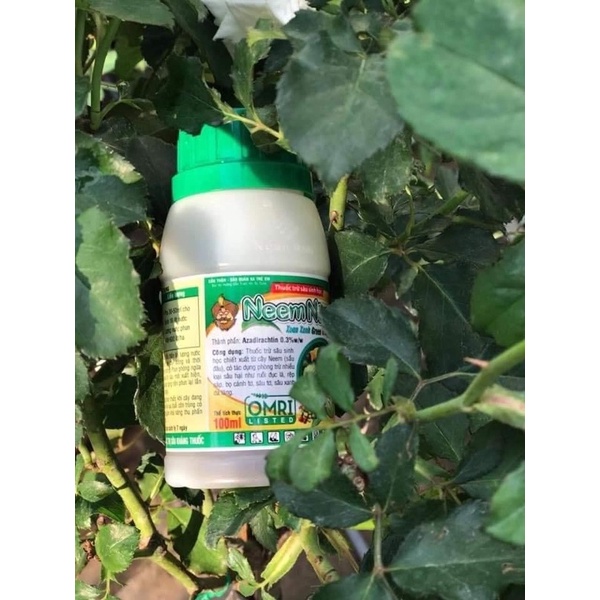 Dầu Neem oil áp chế b.o tr.ĩ-