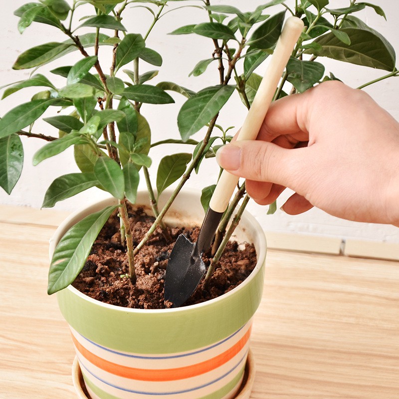 Bộ dụng cụ mini trồng cây 3 món