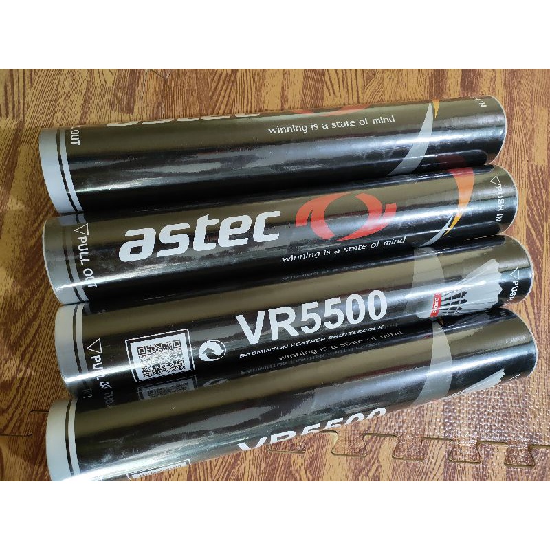 Quả cầu lông ASTEC VR5500