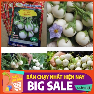 [ Hạt Giống Xanh ] 2 gram - Hạt giống cà pháo trắng F1 cao sản Thái Lan