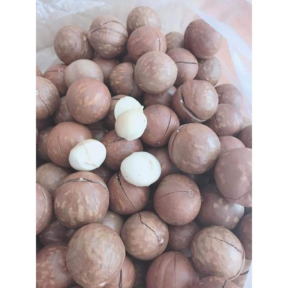 FREESHIP 500Gr Hạt Macca Sạch Lâm Đồng (size 2,2-3,2) | BigBuy360 - bigbuy360.vn