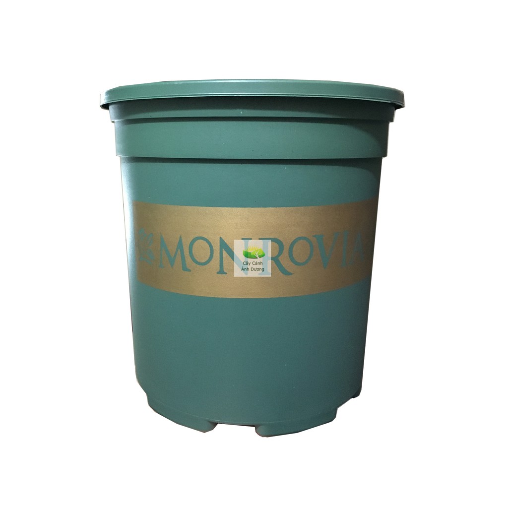Chậu trồng cây Monrovia 1 Gallon và 1,5 Gallon (xanh, đen)