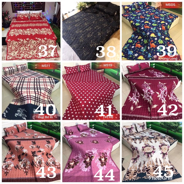 Bộ Ga Gối Chăn Hè Chần Bông Poly Cottong ( Tặng kèm vỏ gối ôm) | BigBuy360 - bigbuy360.vn