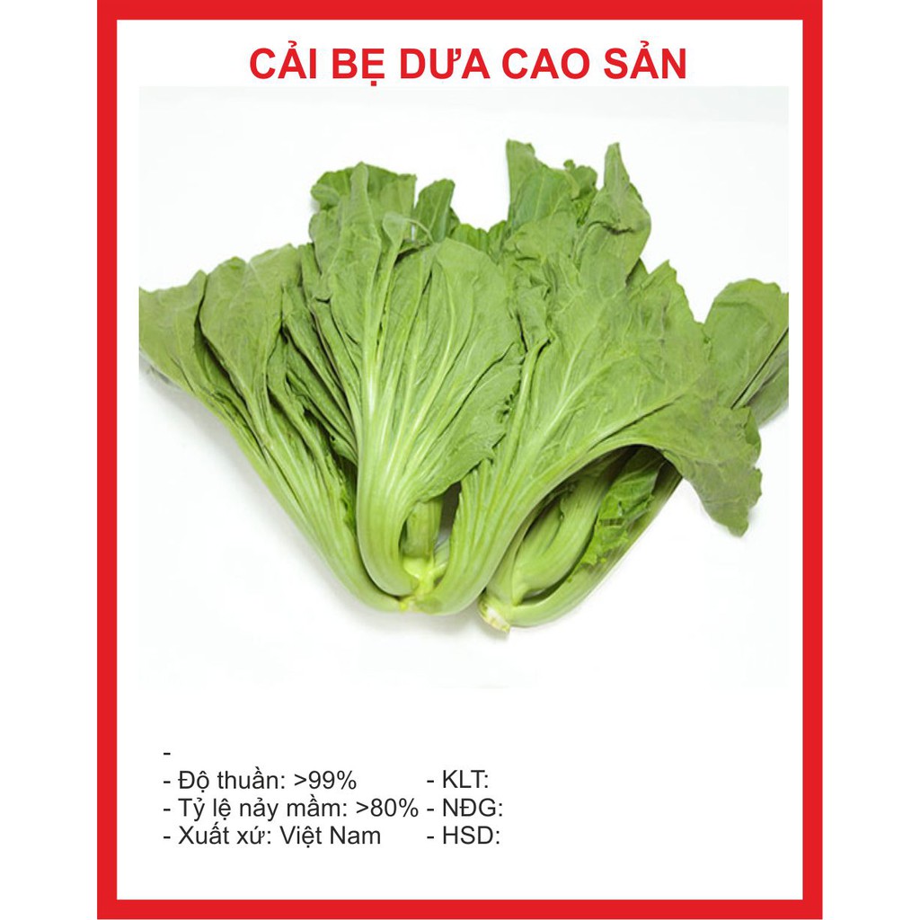 Hạt Giống Cải Bẹ Dưa Cao Sản - 20gr