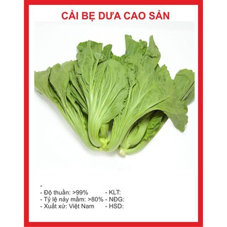 Hạt giống cải bẹ dưa cao sản - 20gr