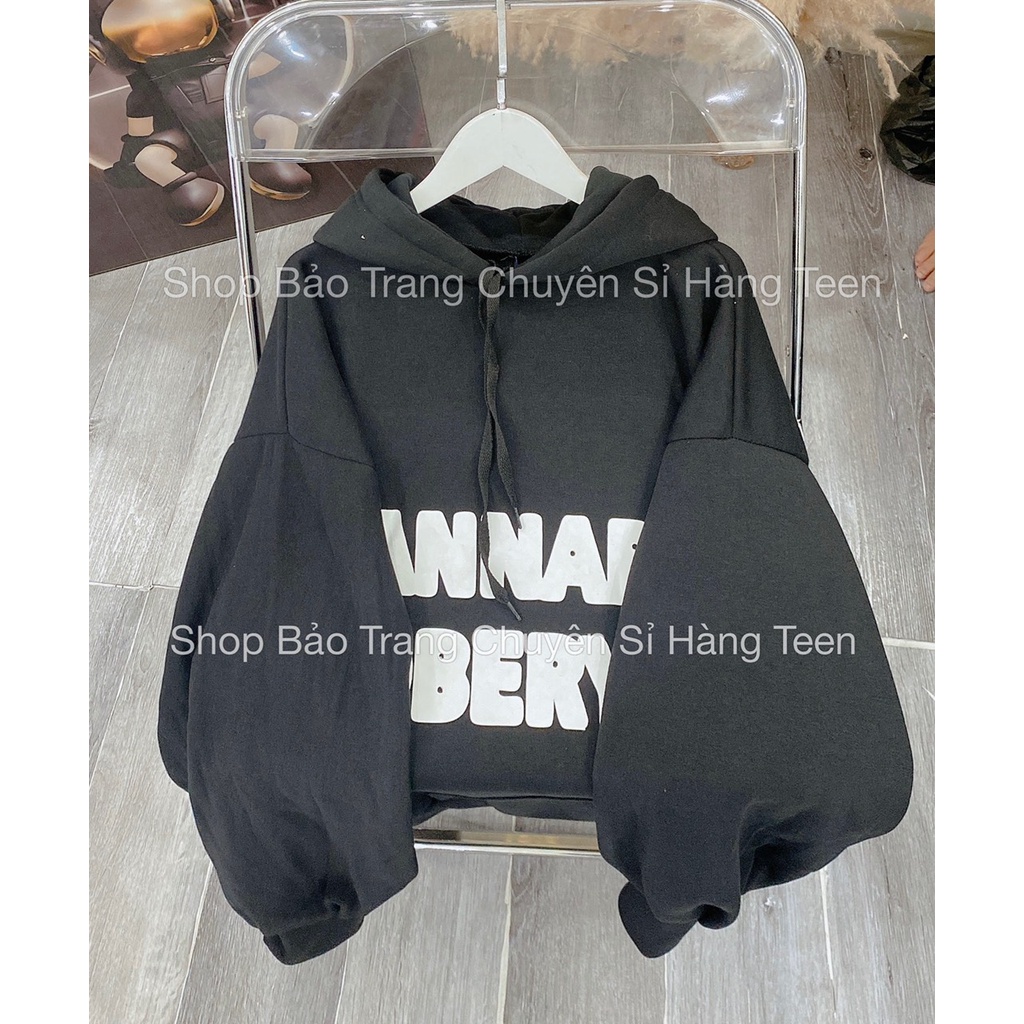 Hoodie Annab Nam Nữ Unisex Mũ Rộng Form To Tay Bồng Unisex Uzzlang Sweater