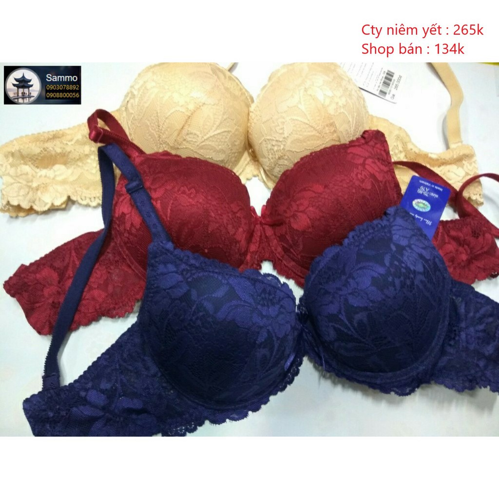 Áo Ngực Ren Mút Dầy Hàng Cty Việt Nam