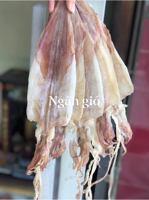 Mực khô câu Cát Bà size 12-15 con thơm ngon, dai và ngọt