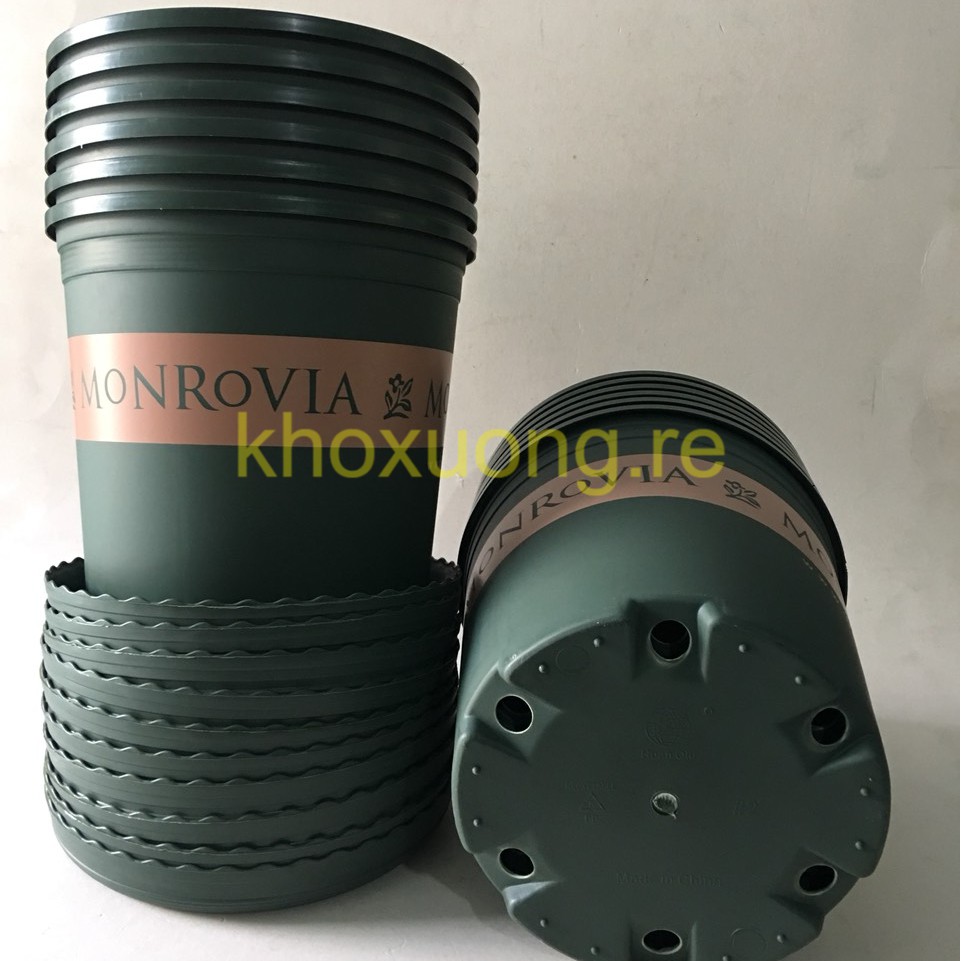 10 Bộ Số 2 Chậu Nhựa Gallon, Chậu Nhập Khẩu MonRovia (2Gallon= 22.5x21cm)