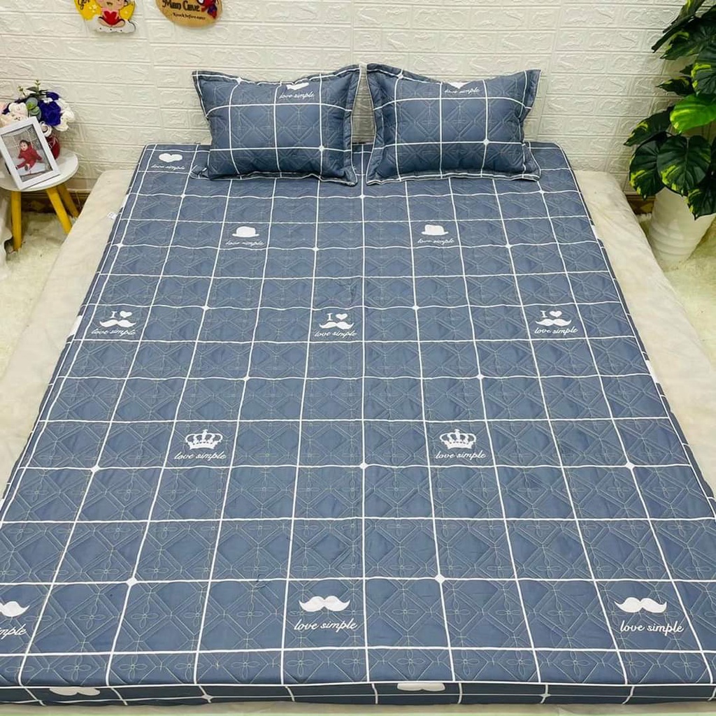 (XẢ KHO) ️ Bộ 3 món: ga gối chun trần bông và 2 vỏ gối đầu Dày Dặn - Drap Giường Cam Kết Bọc Đệm Không Xô Mẫu Kẻ râu