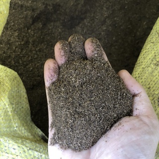 Phân nhộng (dinh dưỡng từ nhộng Chitin/phân ruồi lính đen) rất giàu dinh dưỡng tốt cây trồng