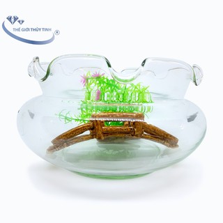 Hồ Cá Chậu Cây Bể Cá Thủy Tinh Miệng Bèo B1 D13cm x H14cm