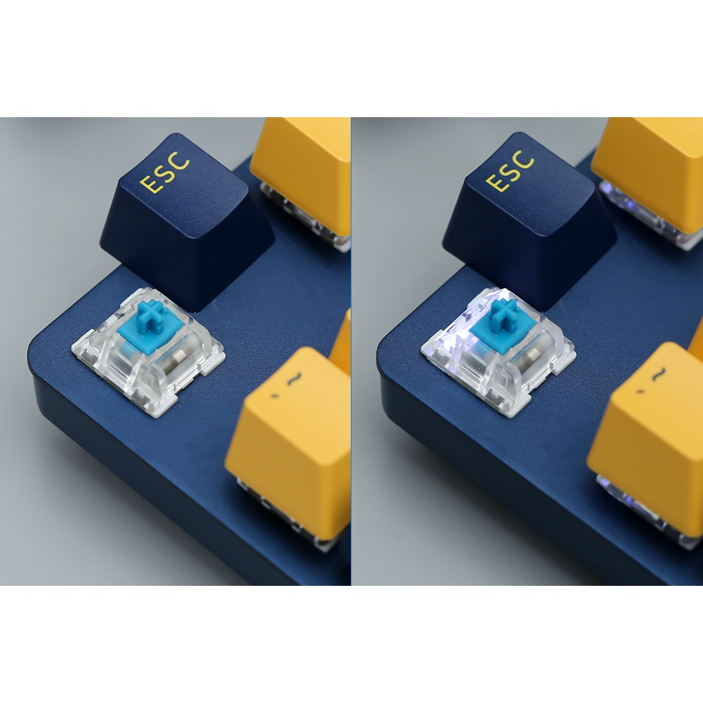 Bàn Phím Cơ Rapoo V500 Pro Yellow Blue