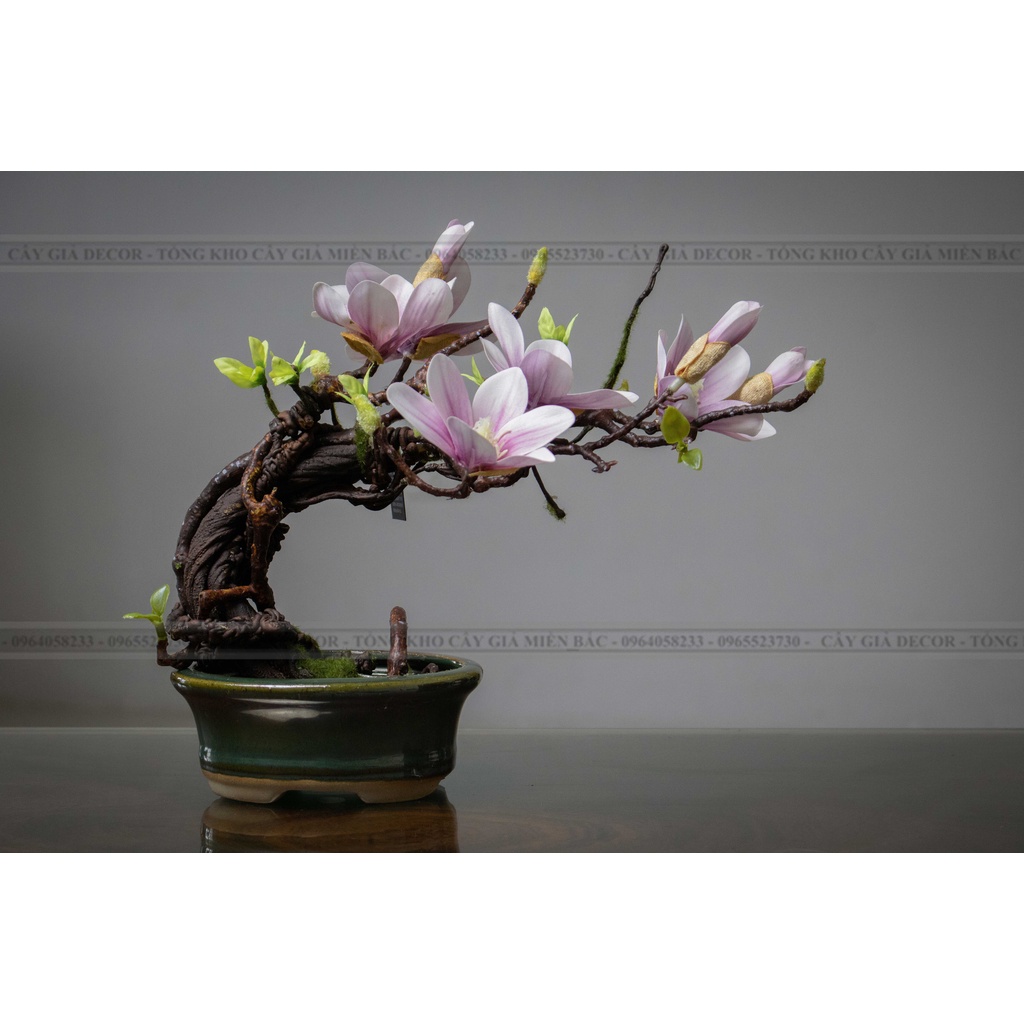 Cây hoa giả Mộc Lan bonsai decor nội thất - Trang trí nhà cửa, làm quà tặng tân gia ý nghĩa