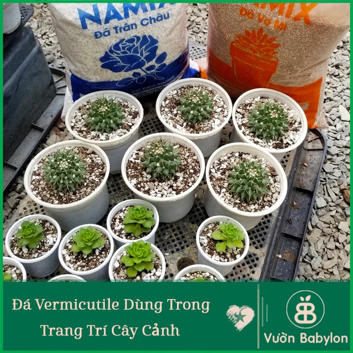 Đá Vermiculite (Đá Vơ Mi) NAMIX 5DM3 - Giá thể trồng cây, Giá thể trồng sen đá