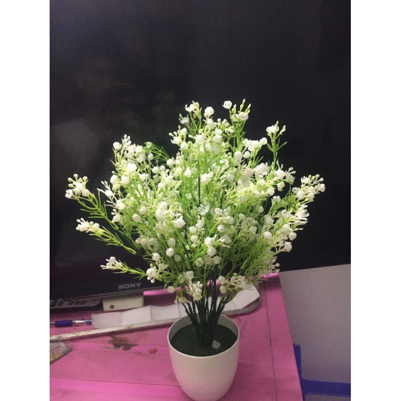 Hoa giả - hoa điểm ngâu trắng trang trí bó hoa, tiểu cảnh