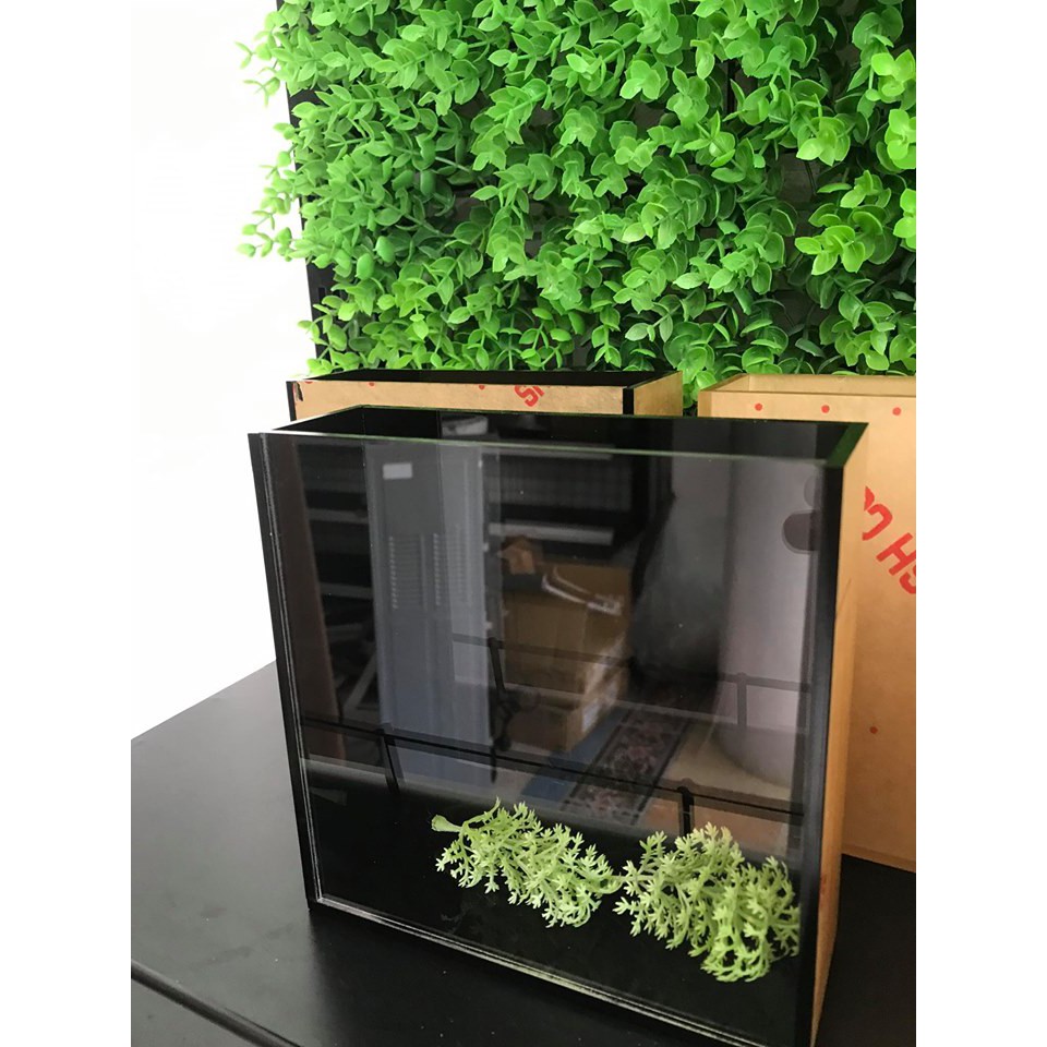 Hồ show cá 2 ngăn acrylic 15x12x17cm siêu trong cao cấp / bể show cá; keo show cá guppy, betta