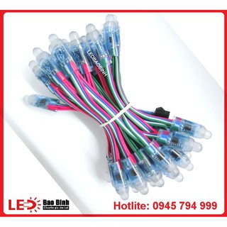 Led Full Color 1904 ( 50 bóng )