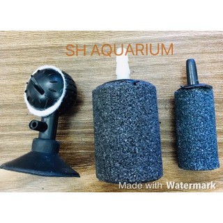 Quả sủi Ôxy cho bể cá cảnh