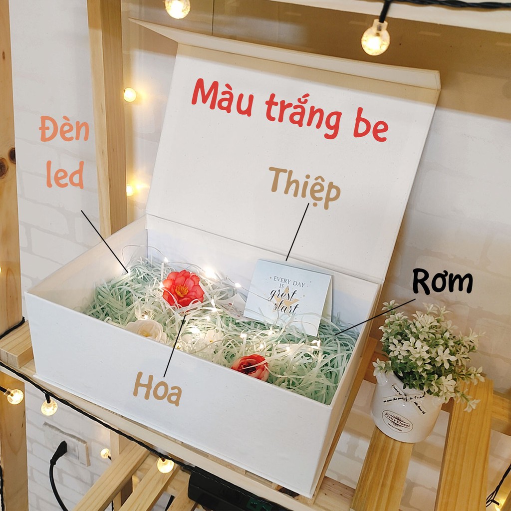 (11x20x30cm) Hộp Quà Sinh Nhật, Hộp Quà Tặng - Hộp Đựng Giày