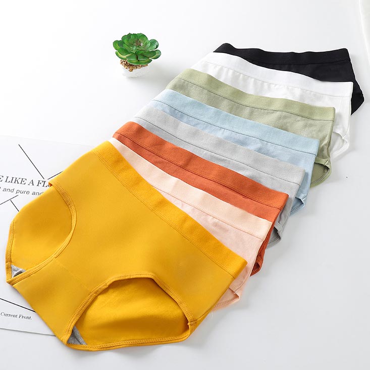 Set 4 Quần Lót Cotton Màu Trơn Phong Cách Hàn Quốc | BigBuy360 - bigbuy360.vn
