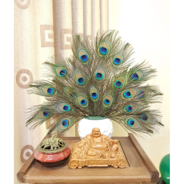 Lông công phong thuỷ tự nhiên 70-75cm LOẠI 1 mắt to đẹp | BigBuy360 - bigbuy360.vn