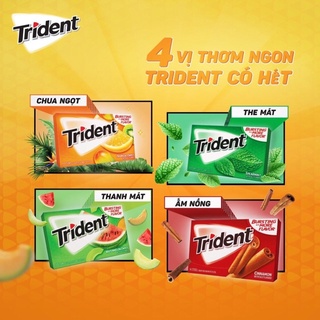 Kẹo Gum cao su không đường Trident nhiều vị gói 26,6gr (14 tép)