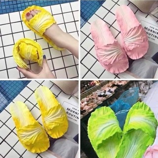 Combo 6 đôi bắp cải