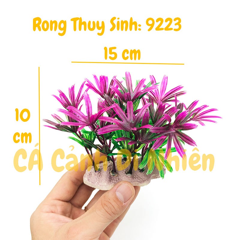 Mô hình cây rong Thủy Sinh trang trí hồ cá cảnh size 12CM