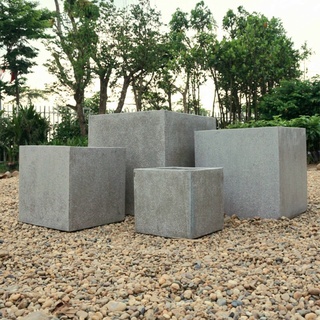 Chậu xi măng vuông, trụ hằng decor