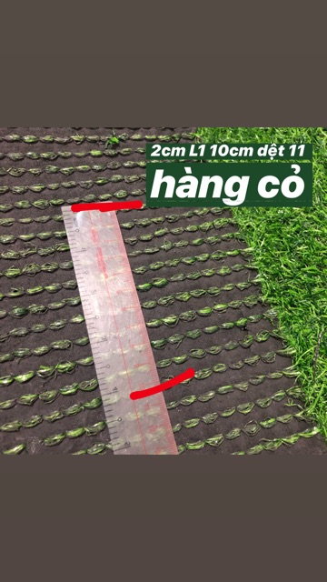 Thảm cỏ nhân tạo 2cm ( 1 cây 50m2 )