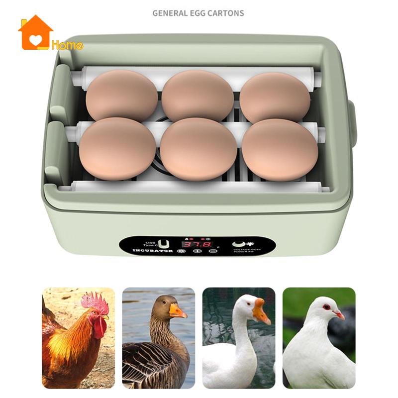 Máy Ấp Trứng Kỹ Thuật Số Tự Động Điều Khiển Nhiệt Độ 6 Trứng Mini