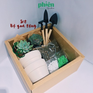 Gift Set tự tay trồng sen đá, Hộp quà tặng sen đá Gardening Box tặng sinh nhật