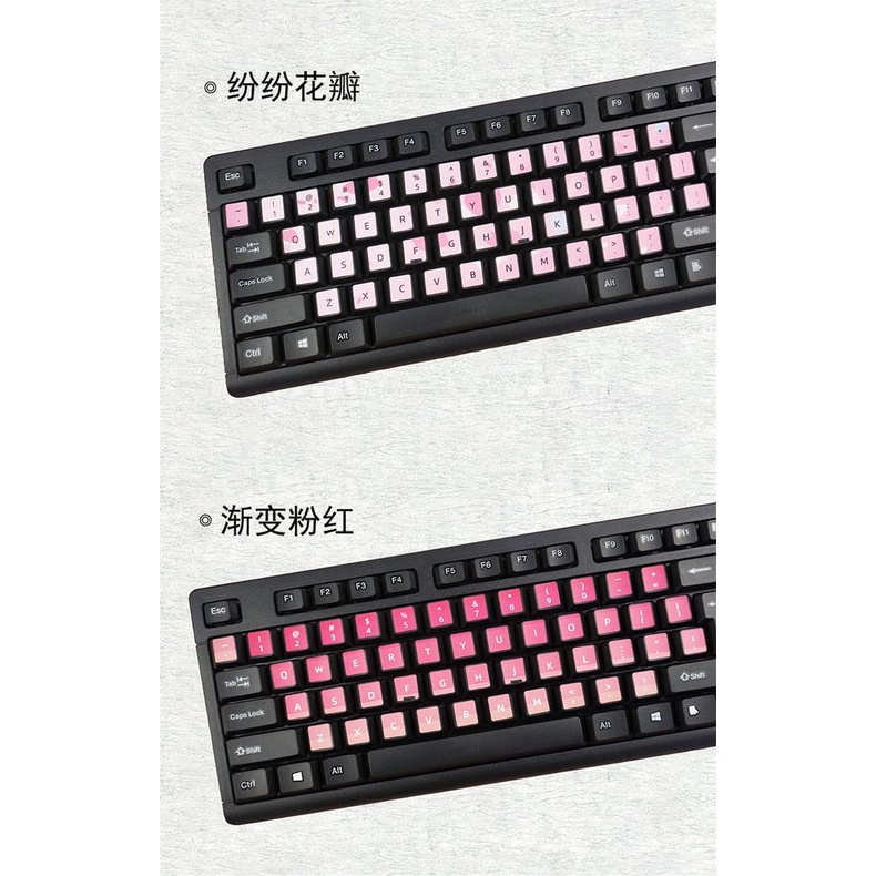 Miếng Dán Nút Bàn Phím Laptop / Máy Tính Vẽ Chữ Tiếng Anh Màu Sắc Macaron Xinh Xắn