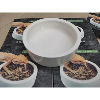 Chén đựng thức ăn cho bò sát