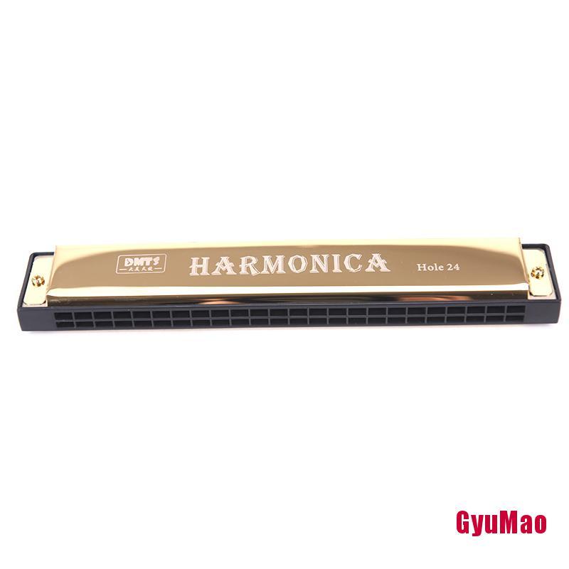 Kèn Harmonica Tremolo 24 lỗ hai hàng HDY 2 màu lựa chọn