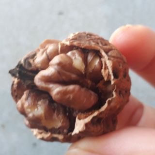 Quả Óc Chó Nếp 500g