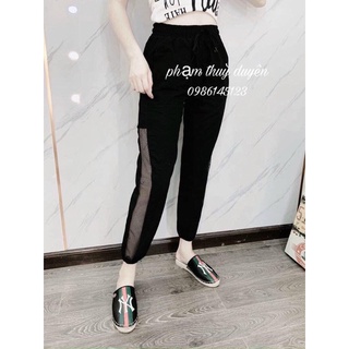 Quần đũi pha viền lưới cực đẹp