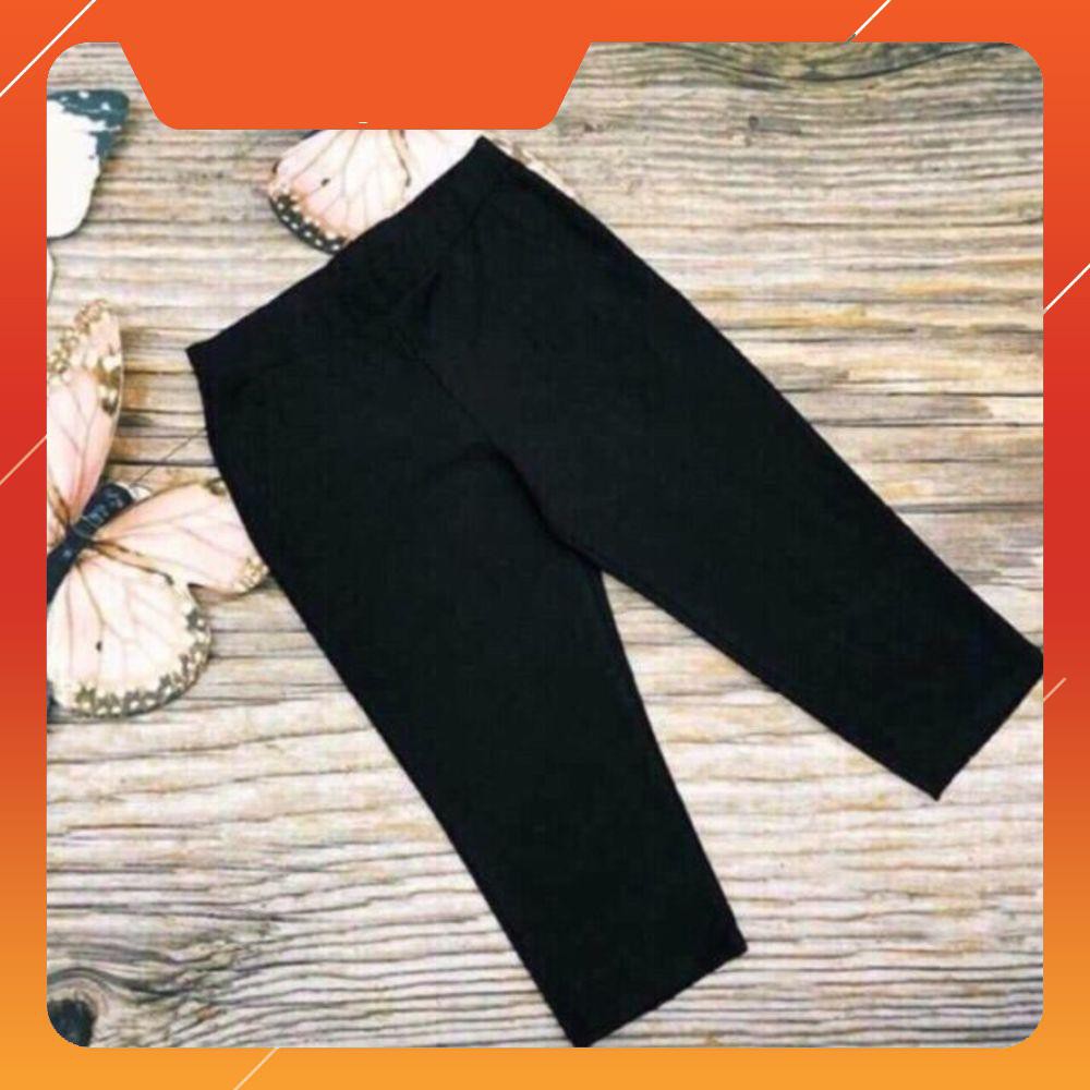 Quần đùi legging nữ L1
