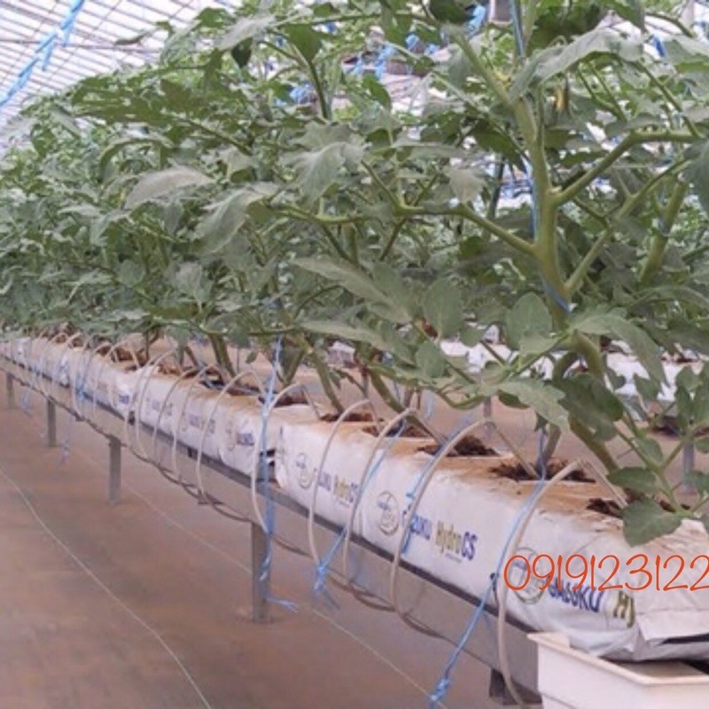TÚI TRỒNG CÂY- GROW BAGS XƠ DỪA ÉP THẺ