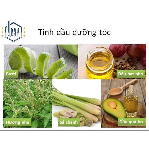 DẦU GỘI/XẢ TỰ NHIÊN BỒ HÒN DƯỢC LIỆU GIÁ ƯU ĐÃI