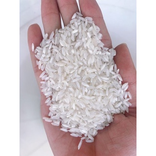 Gạo Bụi Sữa Nở Xốp, Mềm Cơm 5Kg _ Gò Vấp