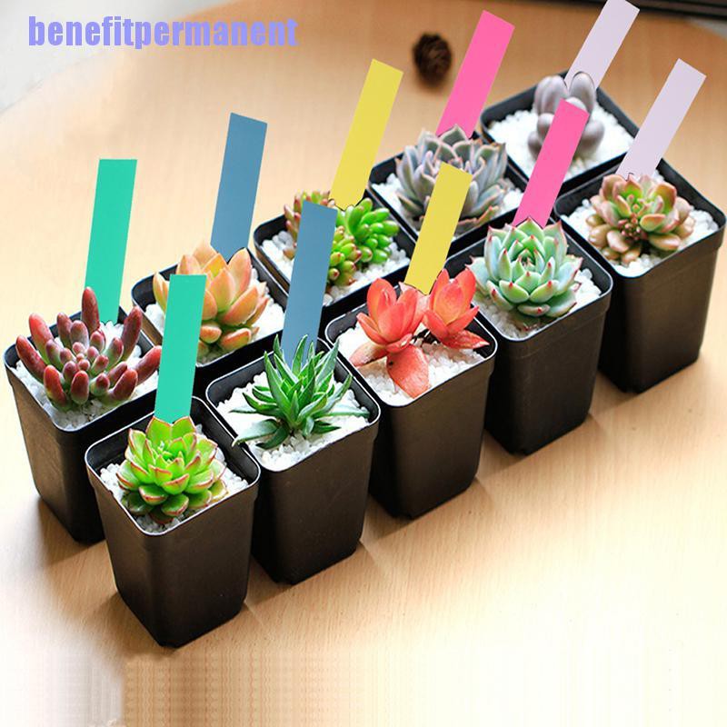 Benefitpermanent✹★ Set 50 Thẻ Nhựa Đánh Dấu Cây Trồng