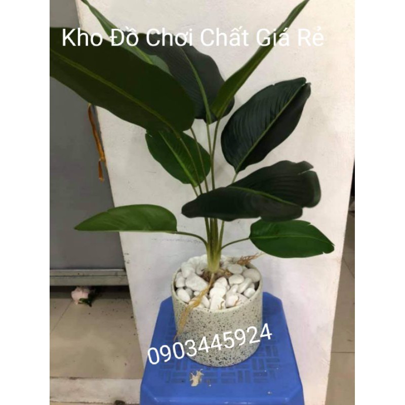 Cây chuối Cảnh giả 9 lá cao 40cm không kèm chậu-Cây Giả