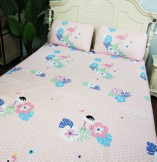 Chiếu điều hoà