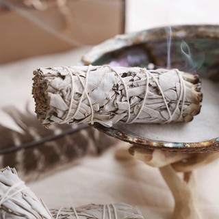  Xô Thơm  White Sage  Thanh Tẩy Bài Tarot & Làm Sạch Đá Phong Thủy l XÔ THƠM THANH TẨY 