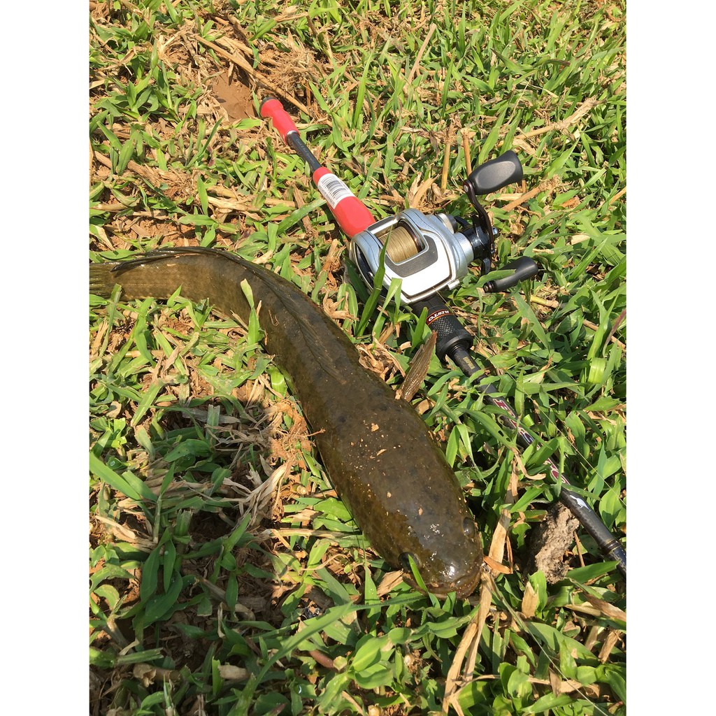 Cần Lure Rapala Risto