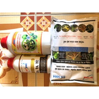 Bộ thuốc trị héo xanh và phục hồi sau khi cây bị héo xanh, vàng lá thối rễ