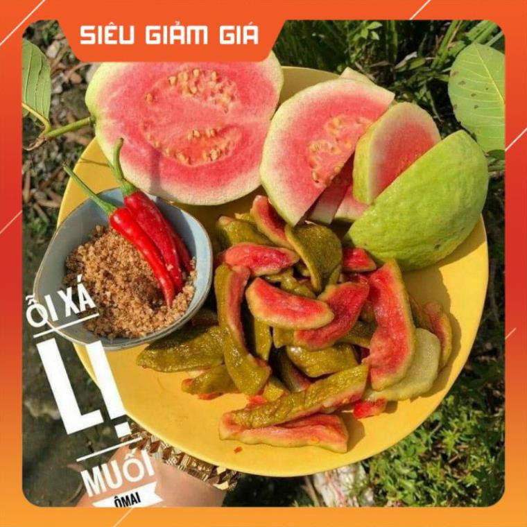 [rẻ vô địch] ỔI XÁ LỊ MUỐI Ô MAI SẤY DẺO [lẻ = sỉ] | BigBuy360 - bigbuy360.vn